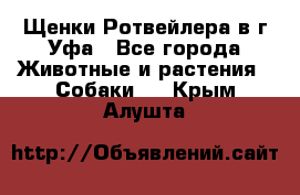 Щенки Ротвейлера в г.Уфа - Все города Животные и растения » Собаки   . Крым,Алушта